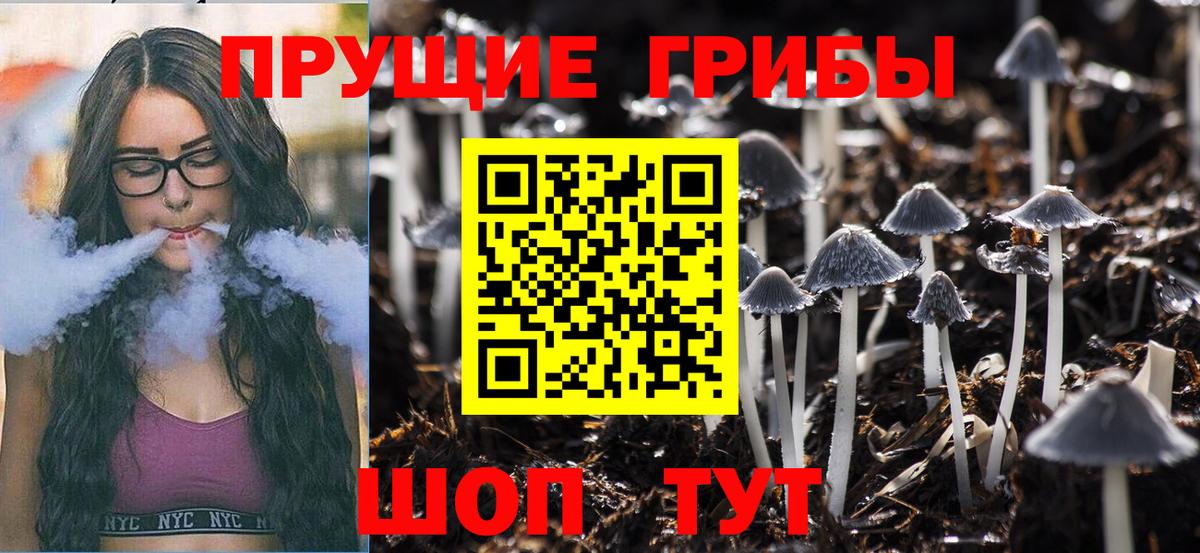 Михайловка  Галлюциногенные грибы MAGIC MUSHROOMS  Вход с VPN 