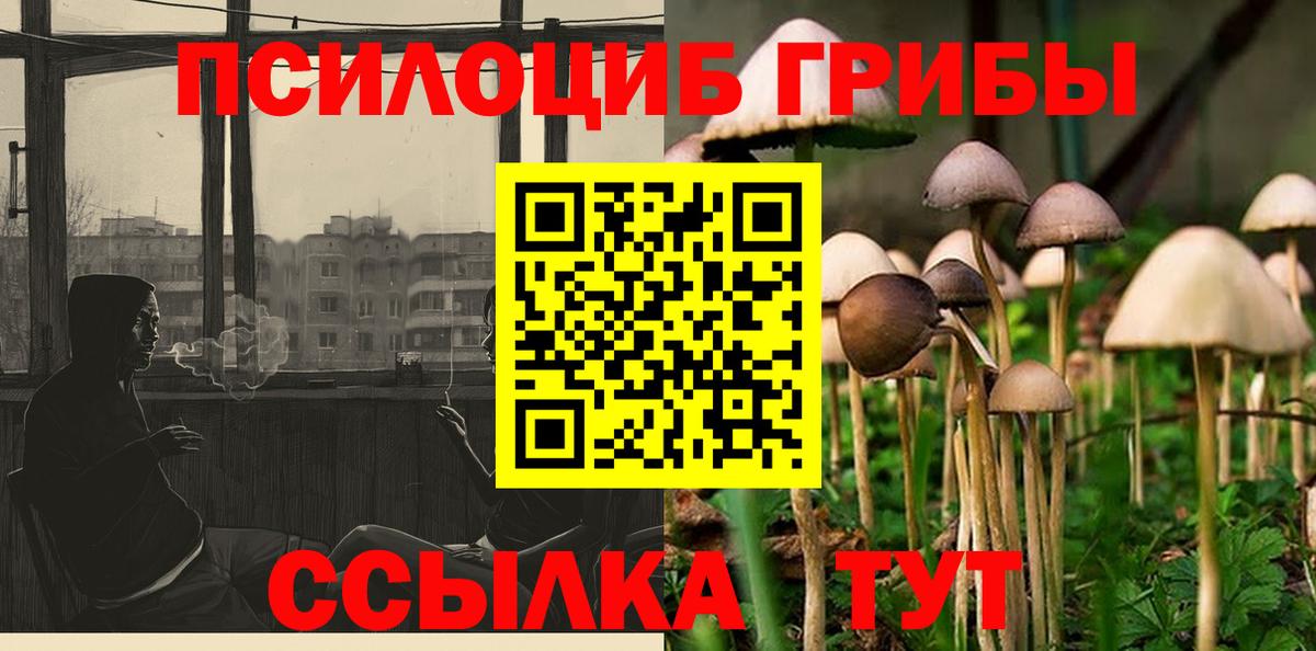 Псилоцибиновые грибы прущие грибы Михайловка